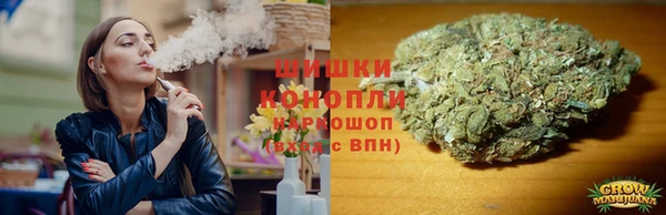 Альфа ПВП Медногорск
