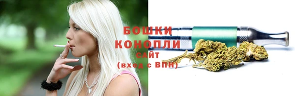 Альфа ПВП Медногорск