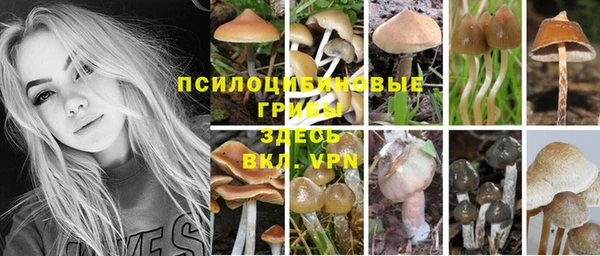 Альфа ПВП Медногорск