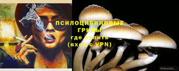 ПСИЛОЦИБИНОВЫЕ ГРИБЫ Мегион