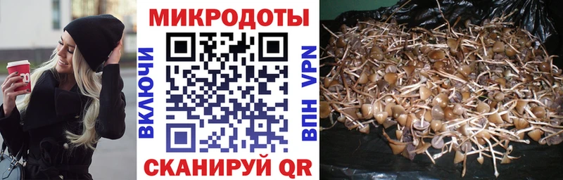 купить наркотики цена  Невель  Псилоцибиновые грибы Magic Shrooms 